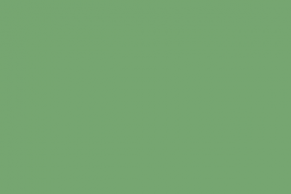 6601. Fall Green